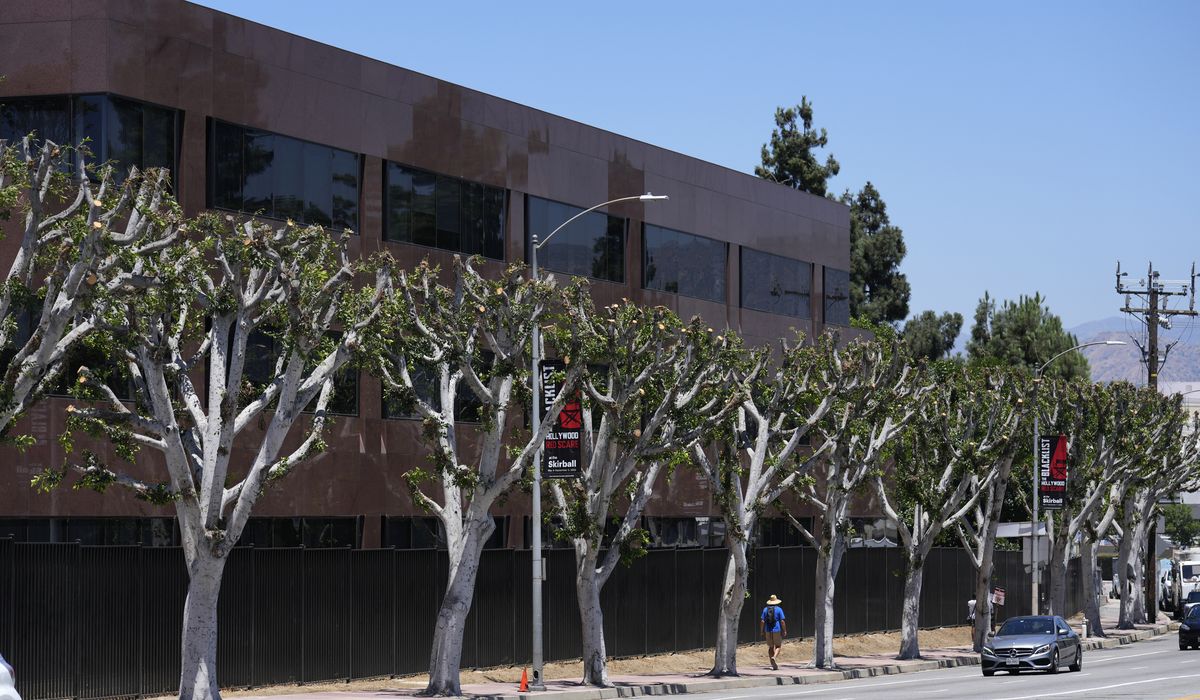 NextImg:Trimmed trees outside LA studio become flashpoint for striking Hollywood writers, actors