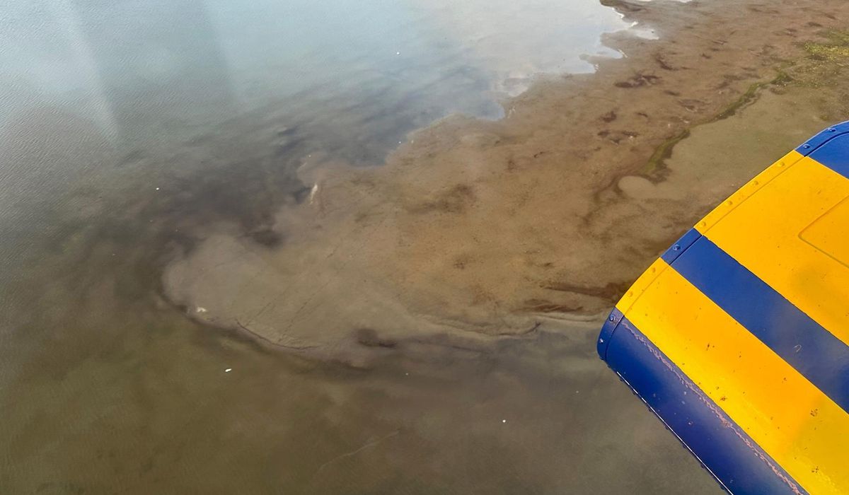 NextImg:Bodies of 4 killed in Alaska helicopter crash are recovered from lake