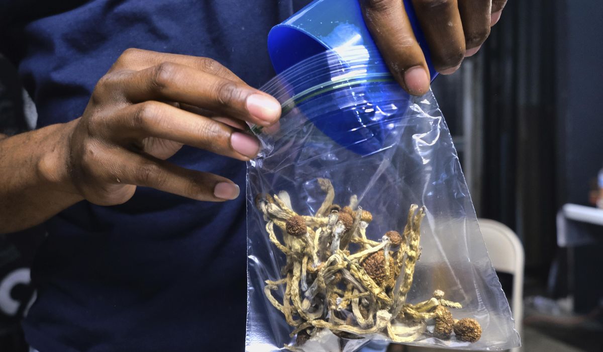 NextImg:Minneapolis backs off arrests for psychedelic plant use