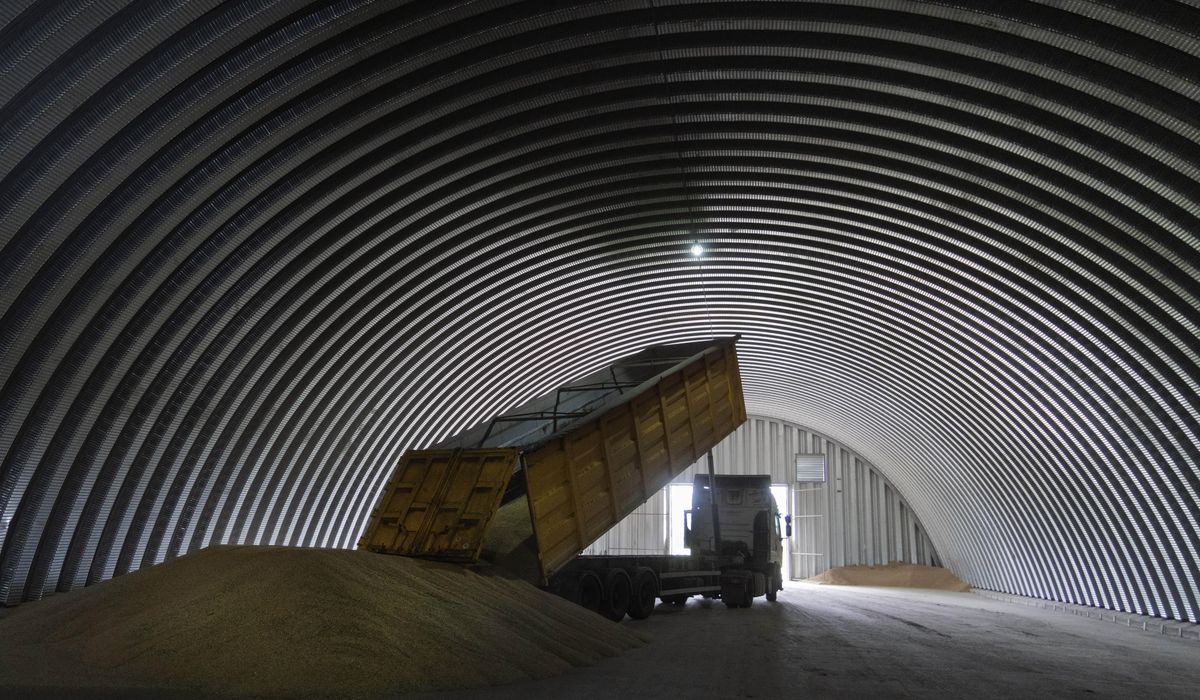 NextImg:EU agriculture ministers meet to discuss vital Ukraine grain exports after Russia halted deal
