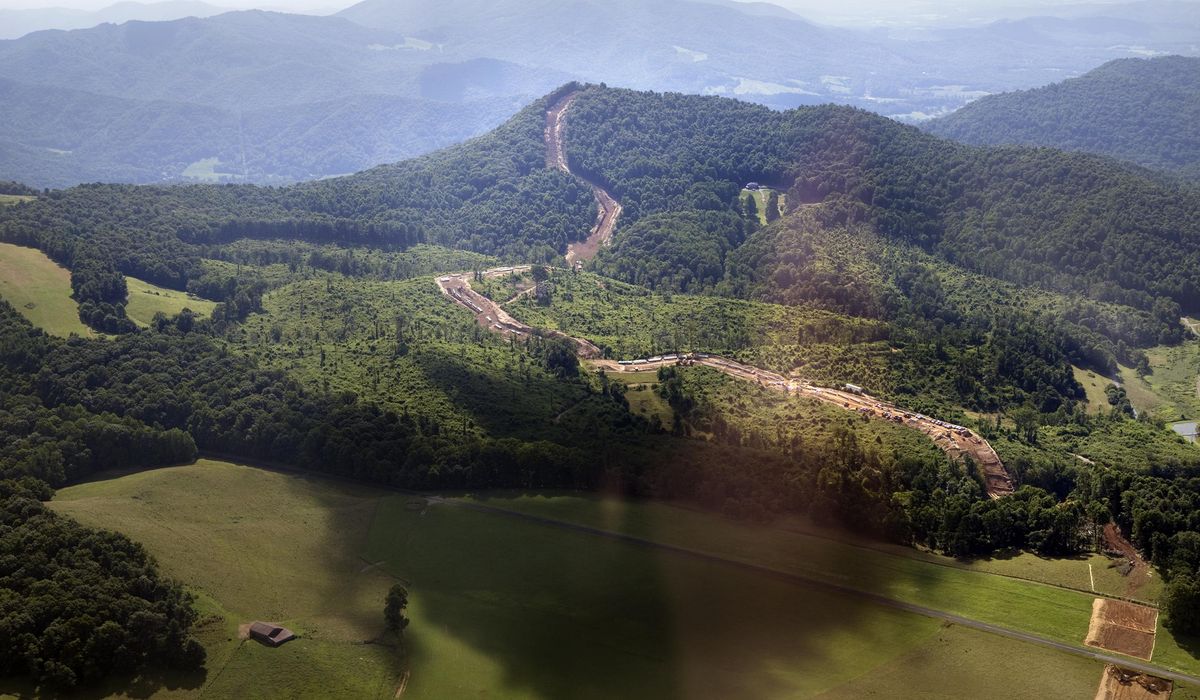 NextImg:Portion of Blue Ridge Parkway closed after visitors try to feed and hold a young bear
