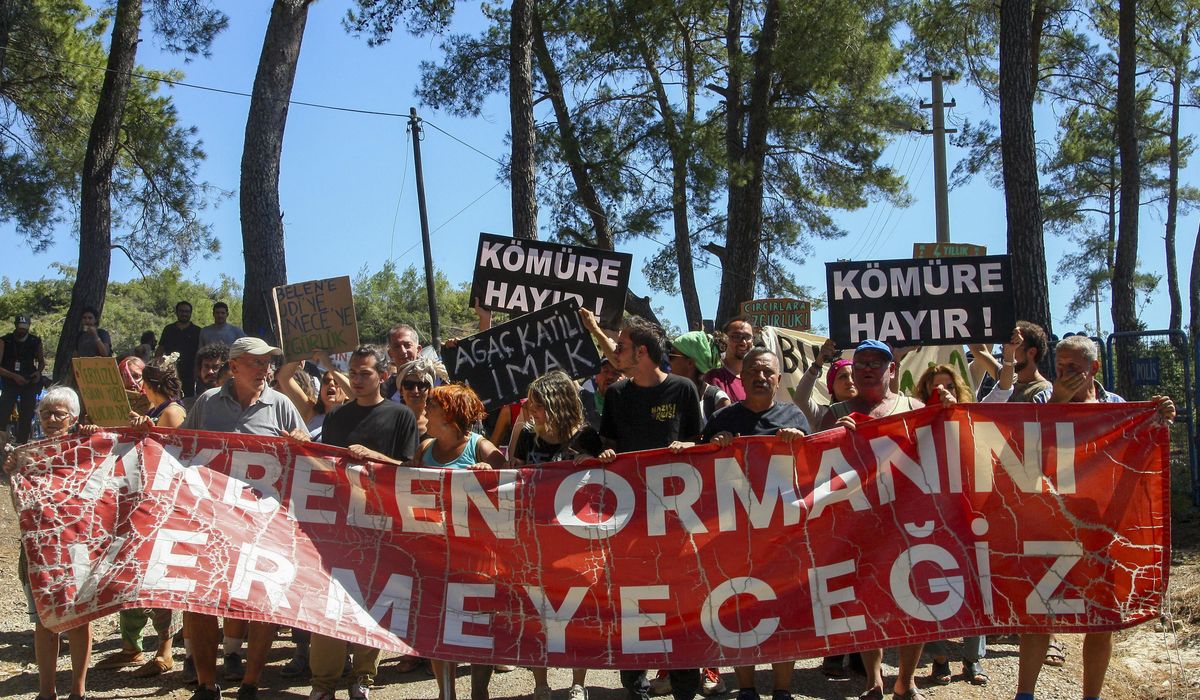 NextImg:Locals vow to keep fighting to save a forest in southwest Turkey after the chainsaws finish work