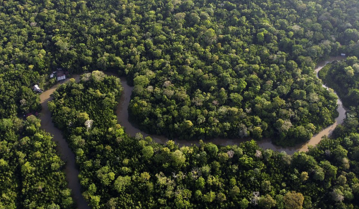NextImg:Amazon nations seek common voice on climate change, urge action from industrialized world