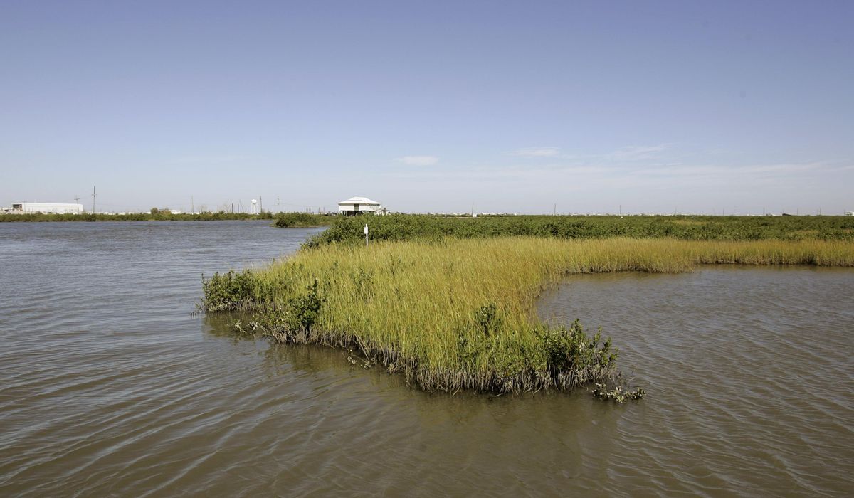 NextImg:Big oil companies fret about biased jury in coastal land-loss lawsuit in Louisiana