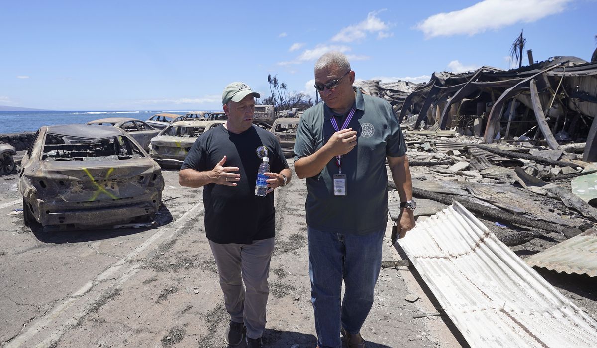 NextImg:80 fatalities so far after Maui fire; bright orange X’s on buildings signal search for bodies