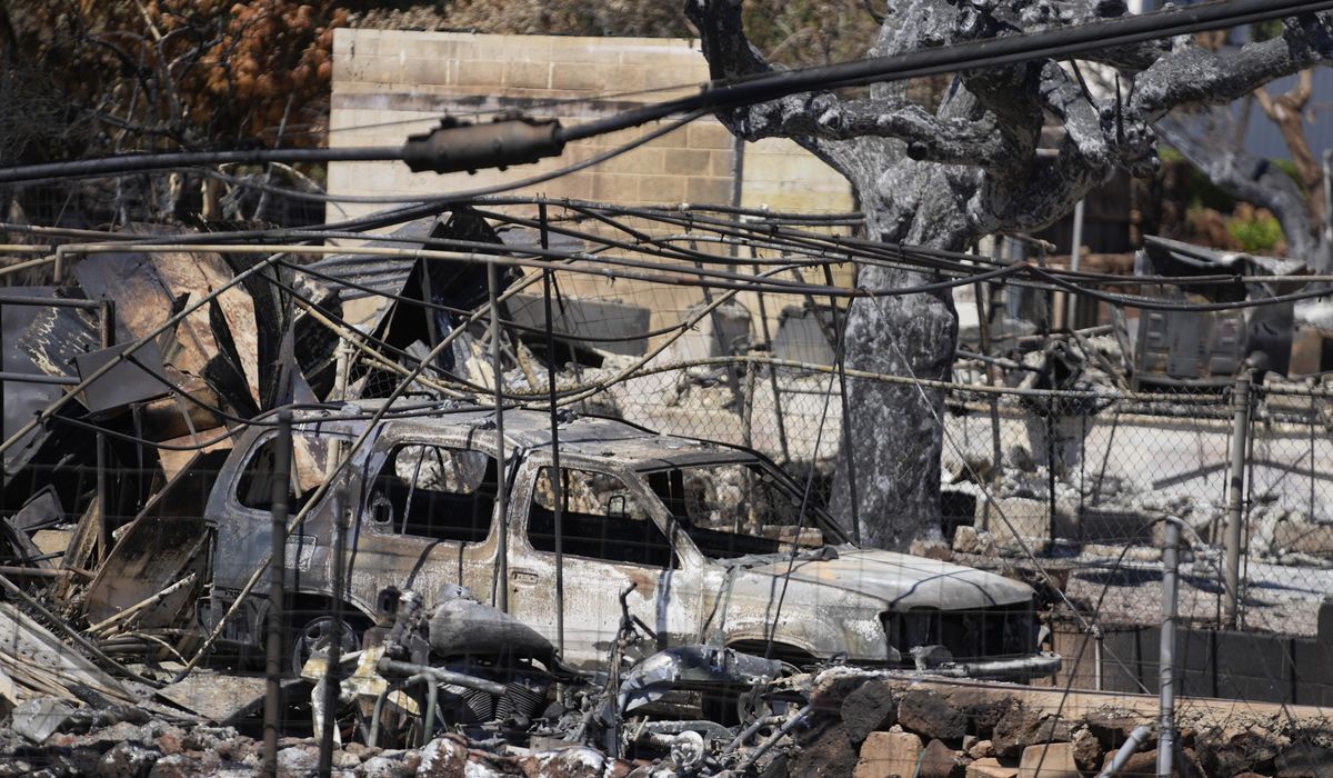 NextImg:Scores more people could be found dead following Maui wildfires, Hawaii governor warns