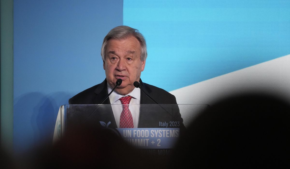 NextImg:U.N. chief urges deployment of police special forces and military support to combat gangs in Haiti