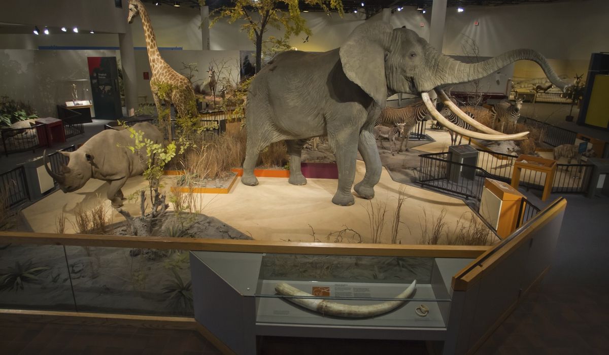 NextImg:Natural history museum closes because of chemicals in taxidermy collection