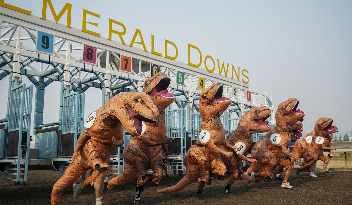 NextImg:Ready, set, Rex! Photo finish at 2023 T-Rex World Championships at Emerald Downs in Washington