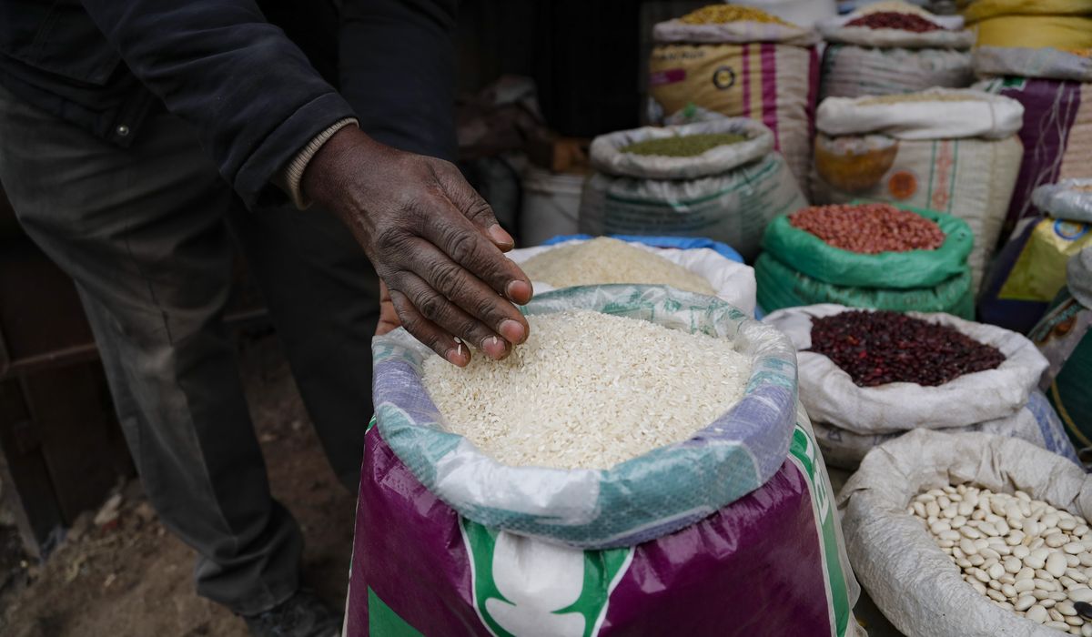 NextImg:Global food security is at crossroads as rice shortages and surging prices hit the most vulnerable