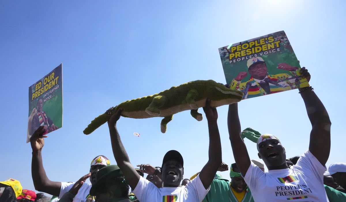 NextImg:Polls open in Zimbabwe as the president known as ‘the crocodile’ seeks a second and final term
