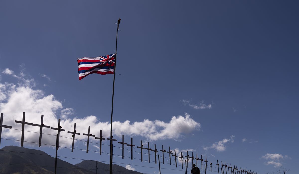 NextImg:Hawaii officials urge families of people missing after deadly fires to give DNA samples