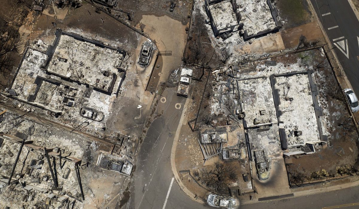NextImg:McCarthy says Congress will investigate Maui fires