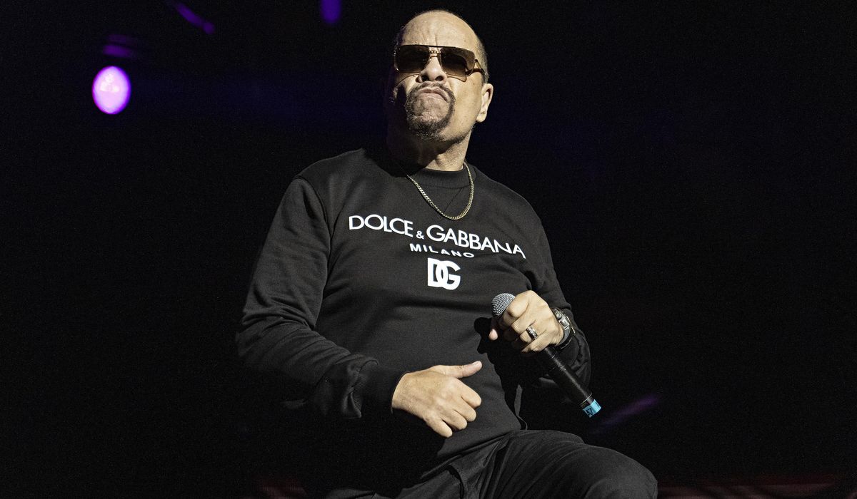 NextImg:Public Enemy, Ice-T to headline free D.C. concerts, The National Celebration of Hip Hop