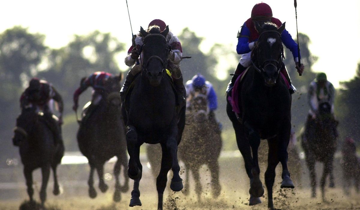 NextImg:Investigation turns up an Illicit drug in a dozen racehorses following the high-stakes All American