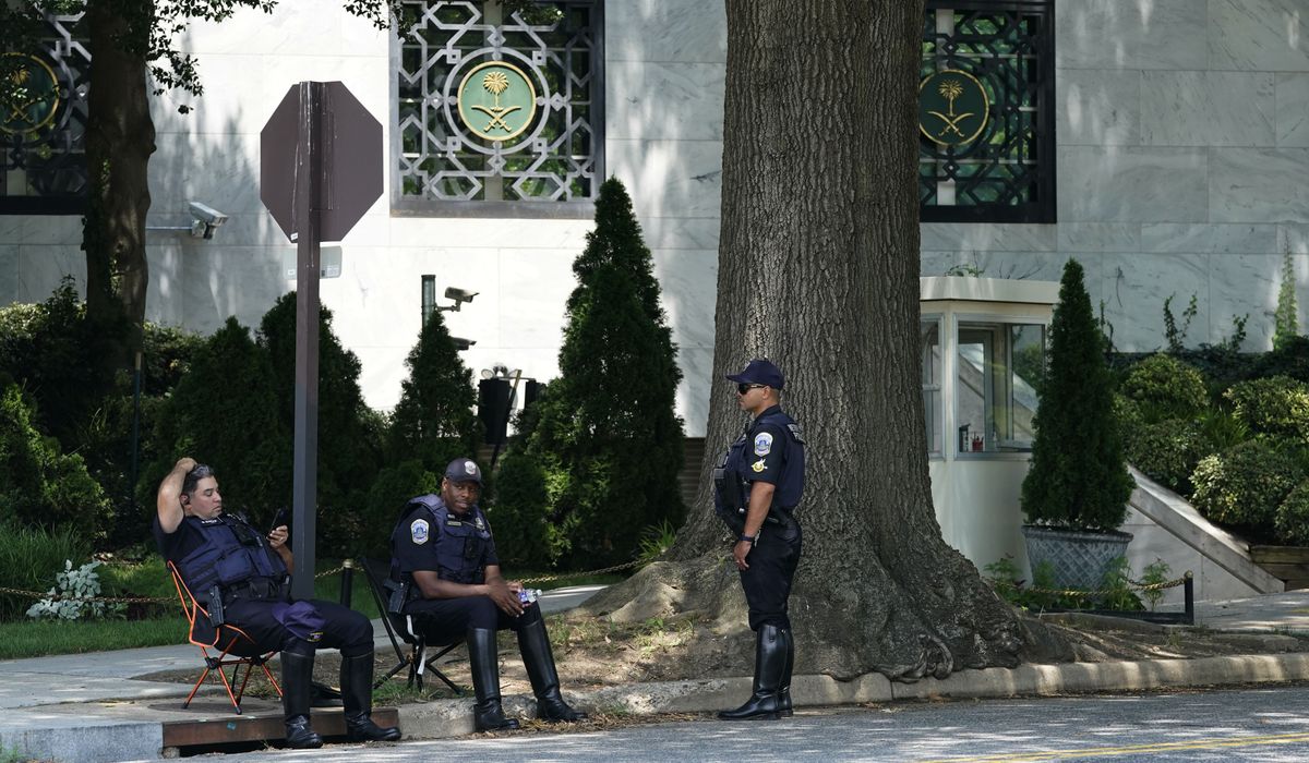 NextImg:Over 50 unlicensed Special Police Officers working armed security in D.C.