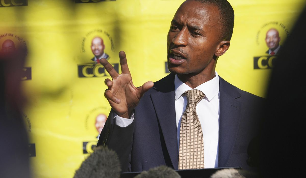 NextImg:Zimbabwe opposition party calls for fresh elections supervised by neighboring countries
