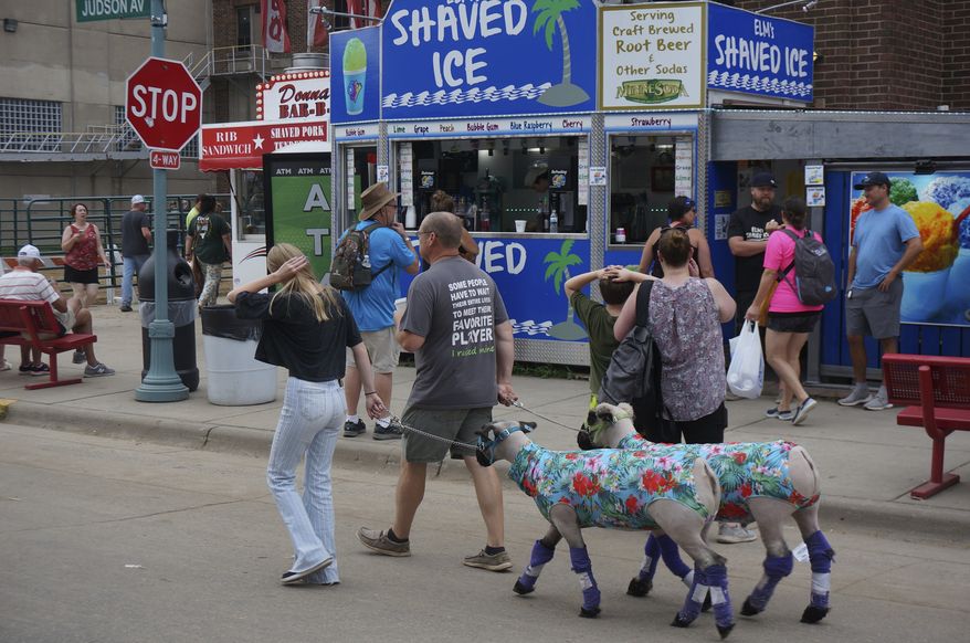 Two fairgoers walk their sheep on the opening day of the Minnesota State Fair in Falcon Heights, Minn., on Thursday, Aug. 24, 2023. (AP Photo/Giovanna Dell'Orto) ** FILE **