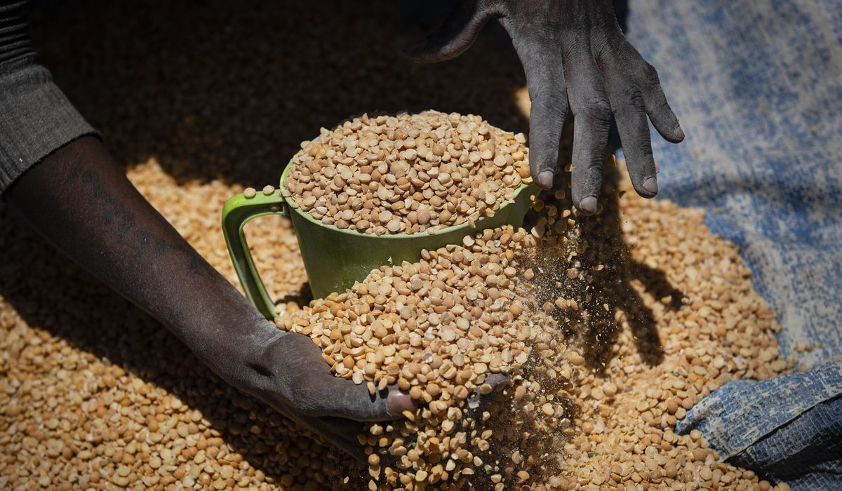 NextImg:JAMA Internal Medicine study links food insecurity to shorter life expectancy