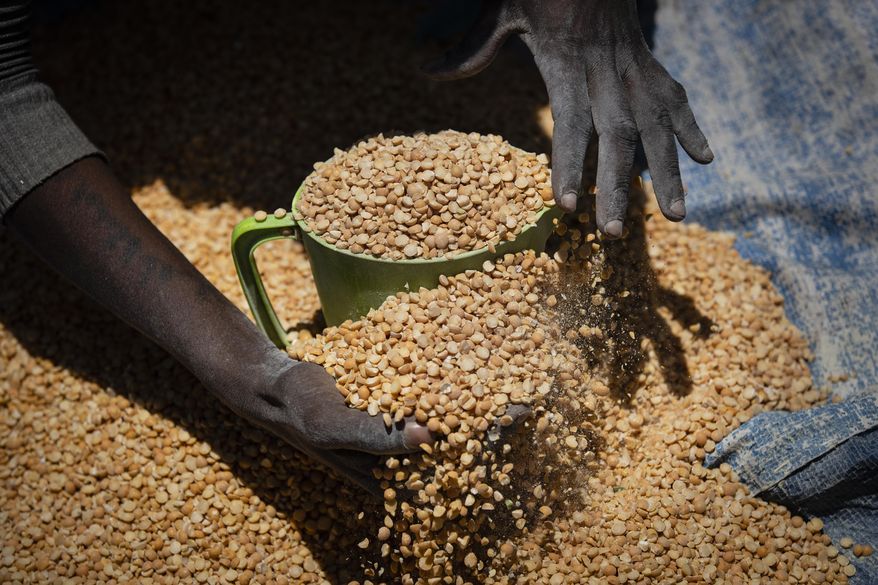 An Ethiopian woman scoops up portions of yellow split peas to be allocated to waiting families after it was distributed by the Relief Society of Tigray in the town of Agula, Tigray region, northern Ethiopia, May 8, 2021. (AP Photo/Ben Curtis, File)