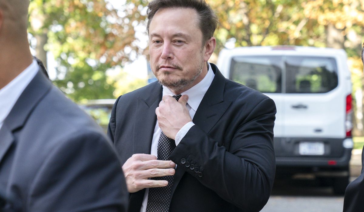 NextImg:Bluesky networking site gains thousands of users after Musk says X users will pay