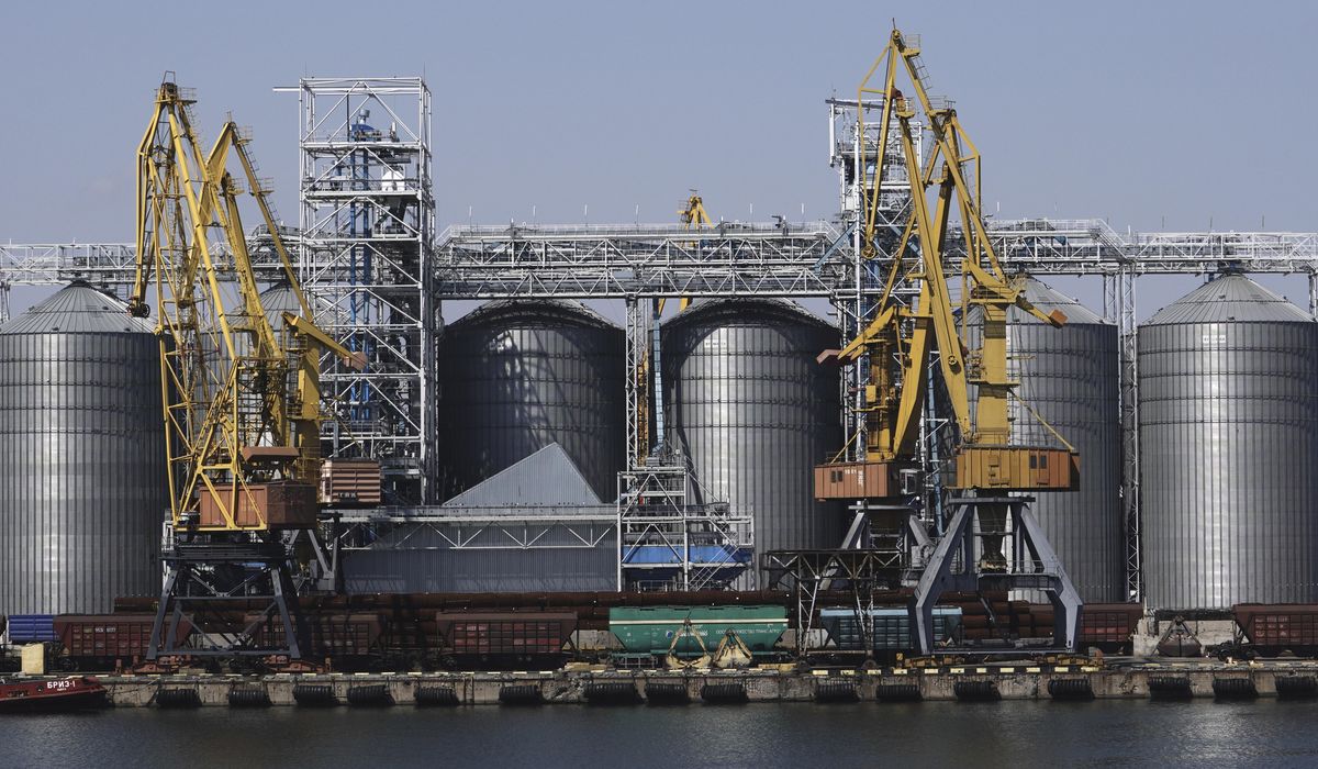 NextImg:First two cargo ships arrive in Ukrainian port after Russia’s exit from grain deal