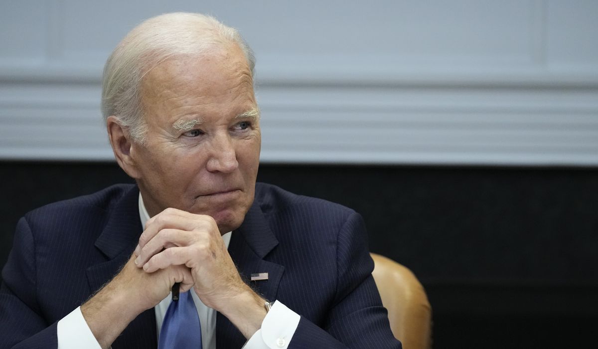 NextImg:Biden: ‘We should stop electing’ House Republicans if they can’t fund the government