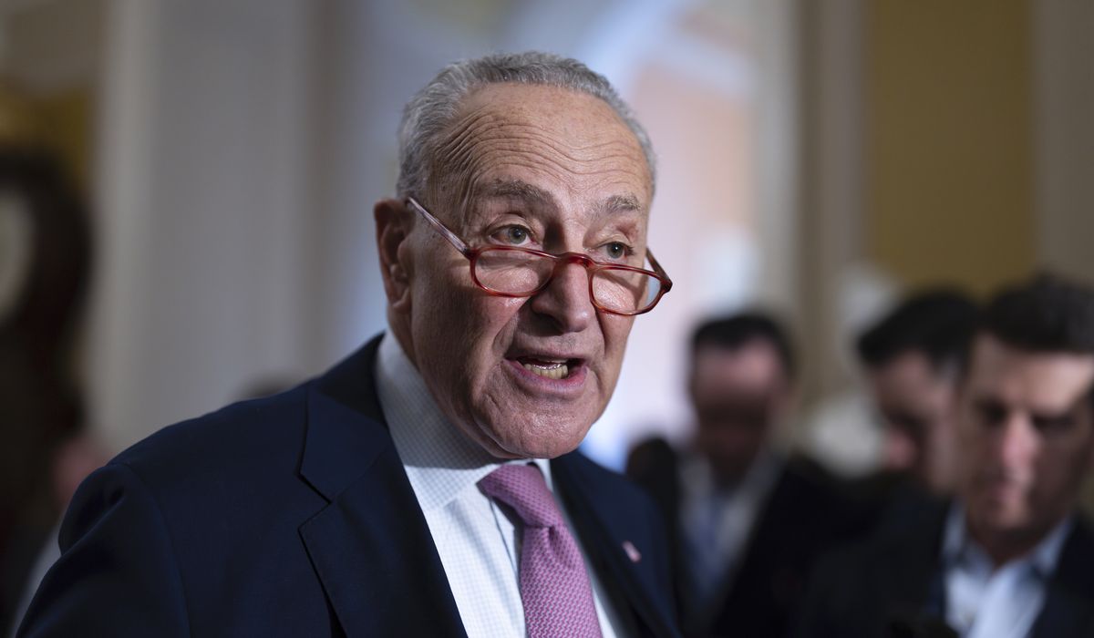 NextImg:Schumer says Senate stopgap will pass House while Senate GOP mull border amendments to bill