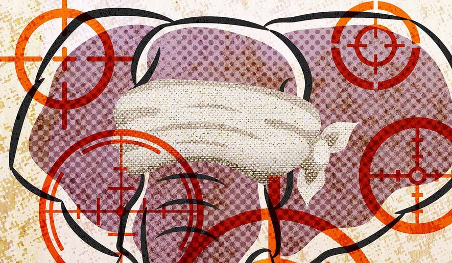 Fringe Republicans and GOP Firing Squad Illustration by Greg Groesch/The Washington Times