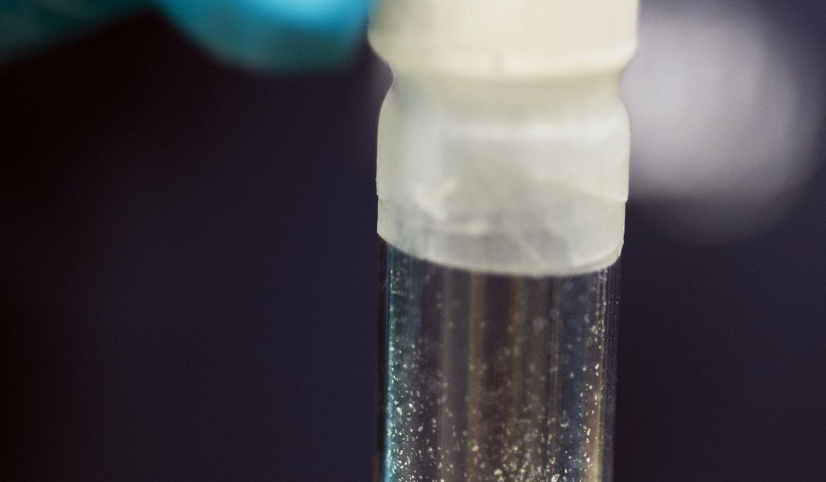 NextImg:Biden targets Chinese suppliers in new front against fentanyl