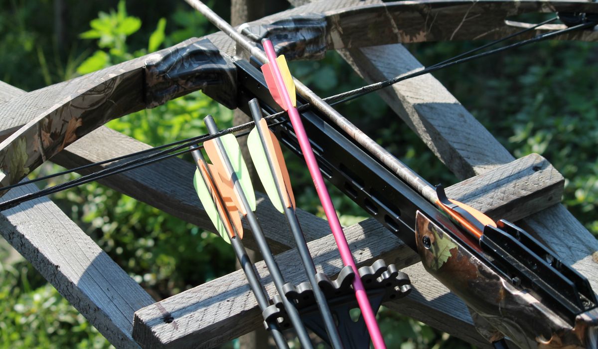 NextImg:Man hit by crossbow arrow in Fairfax County: Police
