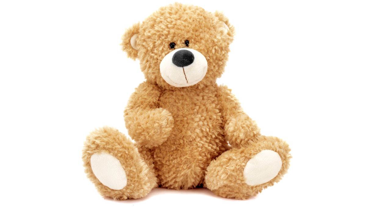 NextImg:Man charged with blowing up teddy bear in California