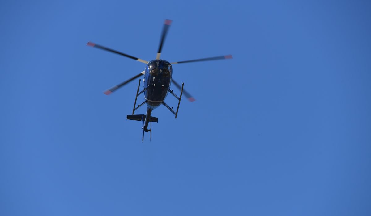 NextImg:Pilot safely lands news helicopter after seagull breaks through windshield and hits him in the face