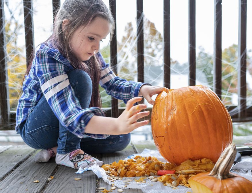 Lola Michaud, 7, pushes out the eyebrow on her carved pumpkin on her front porch, Friday, Oct. 20, 2023 in Auburn, Maine. She and her sister, Eevee, carve several pumpkins every Halloween season. (Andree Kehn/Sun Journal via AP)