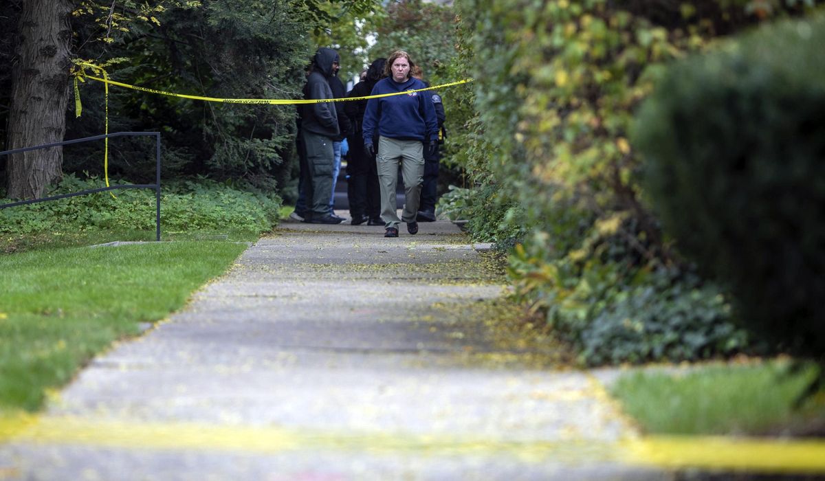 NextImg:A Detroit synagogue president was fatally stabbed outside her home