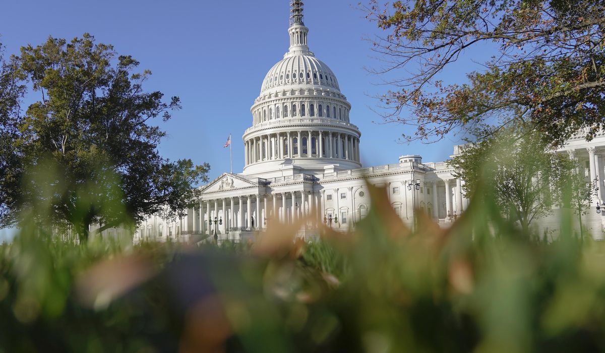 NextImg:Americans want a House speaker ‘as soon as possible’