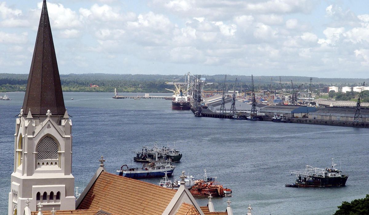 NextImg:Tanzania signs a controversial port management deal with Dubai-based company despite protests