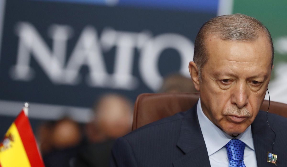 Long-blocked Sweden bid for NATO gets boost in Turkey
