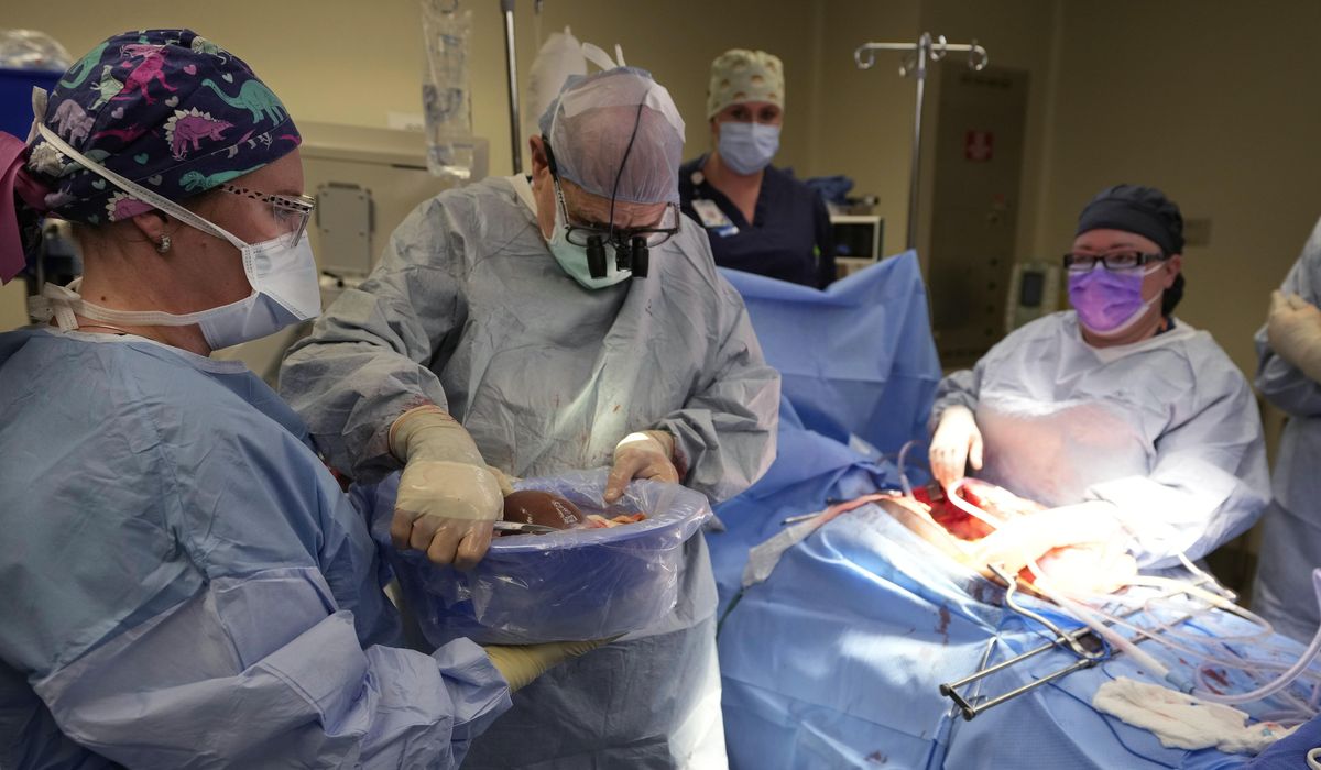 NextImg:Few transplant surgeons are Black. Giving medical students a rare peek at organ donation may help