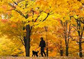 Canada_Daily_Life_61280--2827c.jpg