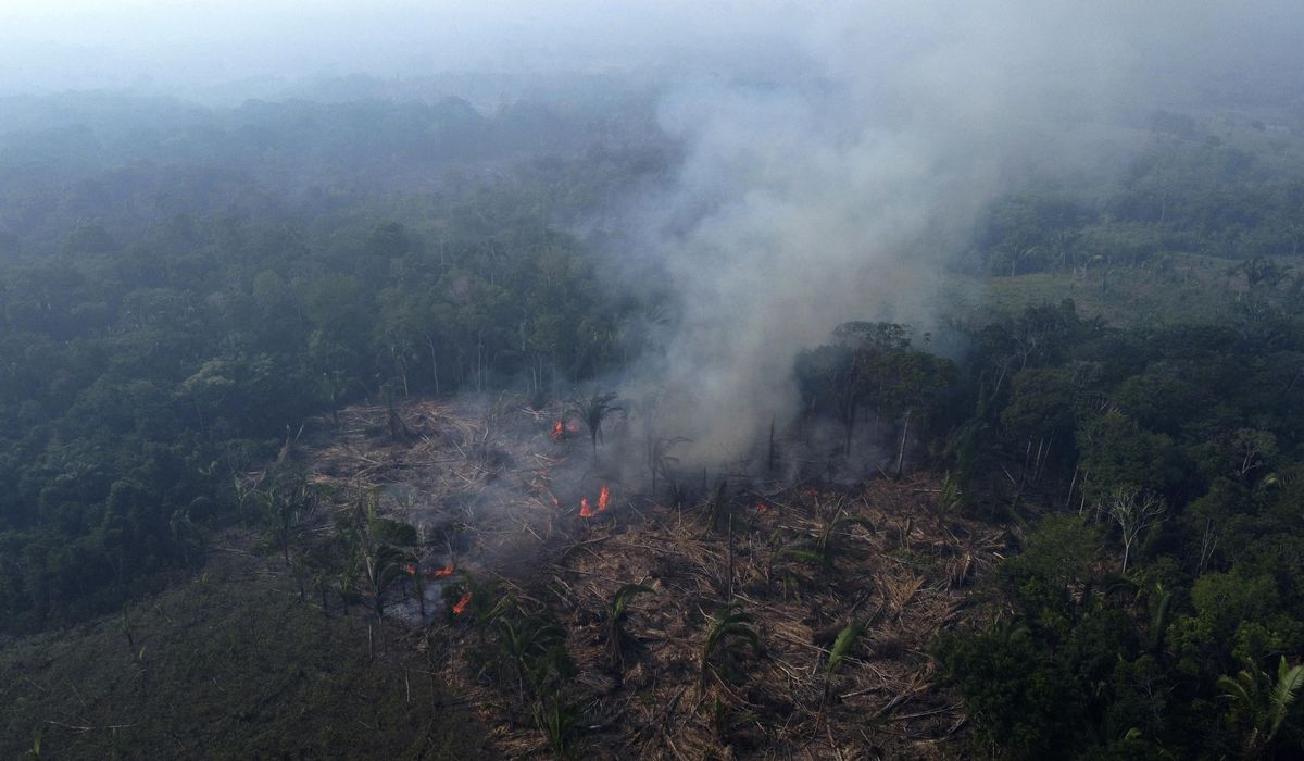 NextImg:As rainforests worldwide disappear, burn and degrade, a summit to protect them opens in Brazzaville