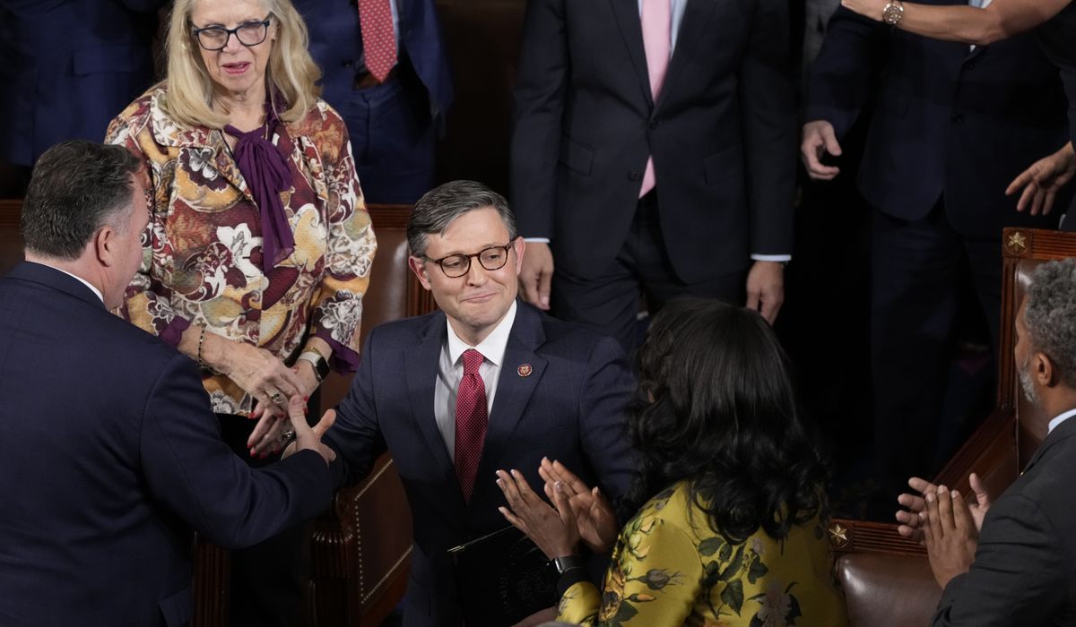 NextImg:Johnson rakes in $1 million in first week as speaker