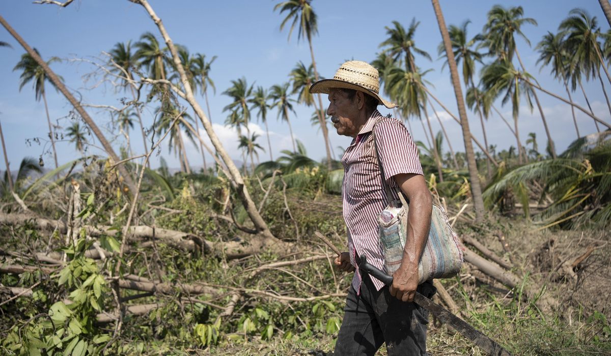 NextImg:Acapulco residents are fending for themselves in absence of aid