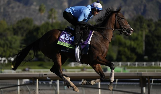 Gina Romantic works out ahead of the Breeders&#x27; Cup horse race Wednesday, Nov. 1, 2023, in Arcadia, Calif. (AP Photo/Ashley Landis)