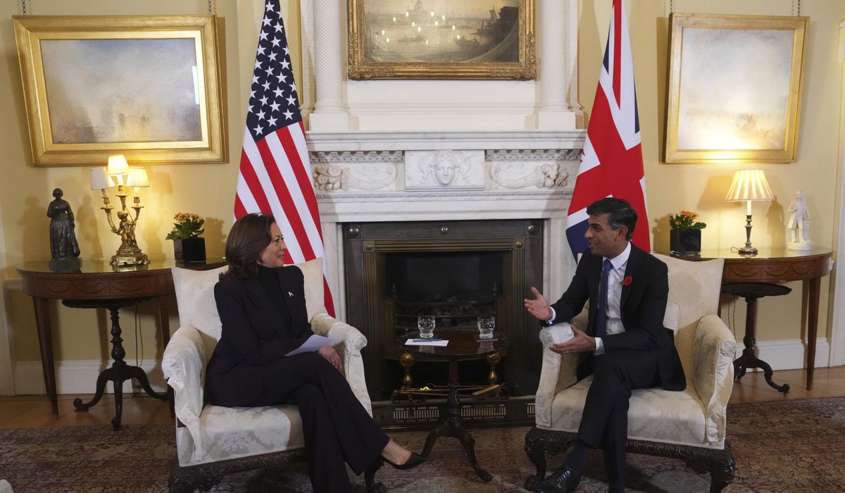NextImg:Harris and Sunak due to discuss cutting-edge AI risks at U.K. summit