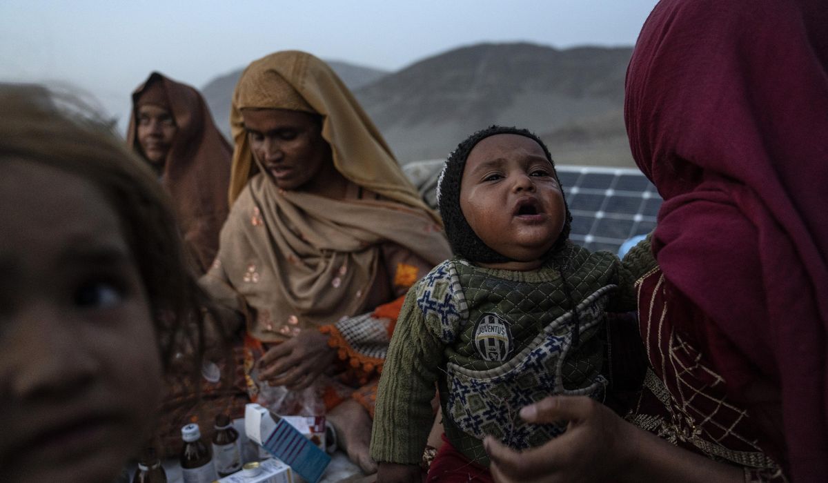 NextImg:Taliban appeal to Afghan private sector to help those fleeing Pakistan’s mass deportation drive
