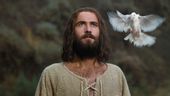 The 1979 Jesus Film Dove.jpeg
