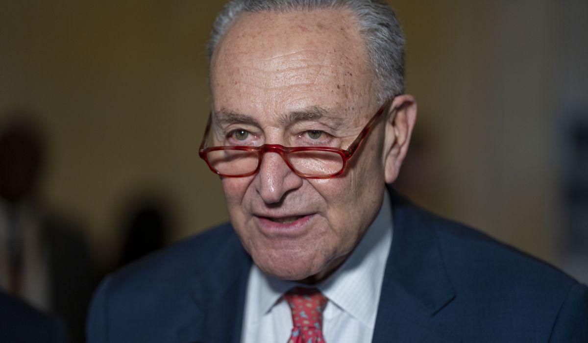 NextImg:Schumer takes victory lap, jabs ‘MAGA extremism’ after abortion issue boosts Dems in elections