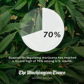 2023.11.08-70_Marijuana-01-1920x1920.png