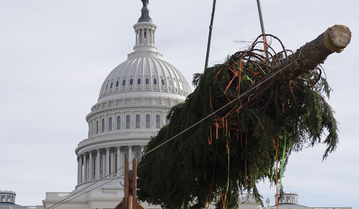 NextImg:WATCH: U.S. Capitol Christmas tree arrives in Washington